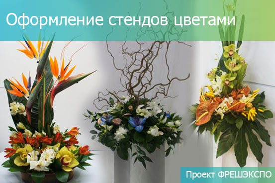 ОФОРМЛЕНИЕ СТЕНДОВ ЦВЕТАМИ