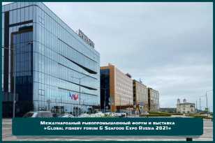 Команда «ФРЕШЭКСПО» реализовала эксклюзивный выставочный стенд для компании «Доброфлот» на Международном рыбопромышленном форуме в Санкт-Петербурге
