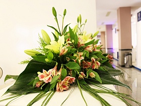 Today is the last day of International Clinical Oncology Congress-2016 in Iran