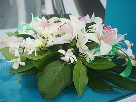 На выставке «ЭКСПО 1520» коллектив «ФРЕШЭКСПО» осуществили застройку стендов для компаний ООО «Вагонмаш», ОАО «Европейская Подшипниковая Корпорация» и АО «Фирма ТВЕМА»